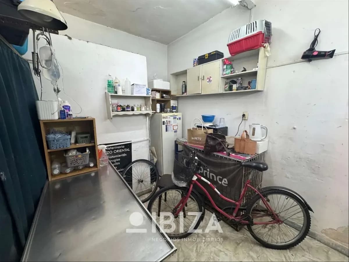Local Comercial En Venta Con Renta Activa En Prado Norte — foto 2