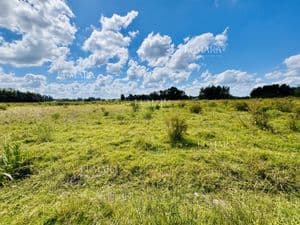Pintoresco campo 55 has - sierra de los caracoles — foto 4