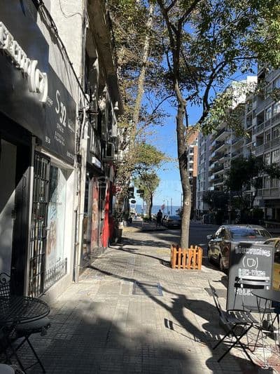 Alquiler monoambiente cocina definida a pasos de la rambla de pocitos