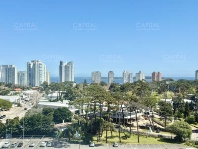 Apartamento en punta del este, roosevelt