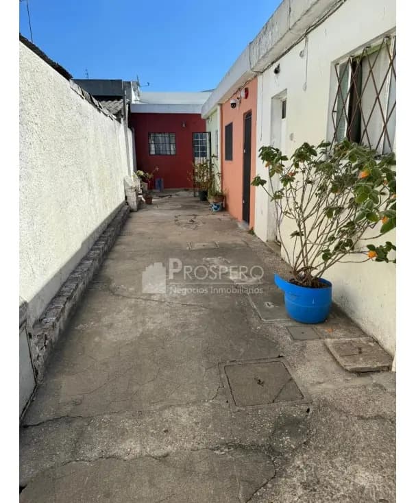 Al1738/p Venta Apto Tipo Casa 1 Dormitorio Sayago C/renta