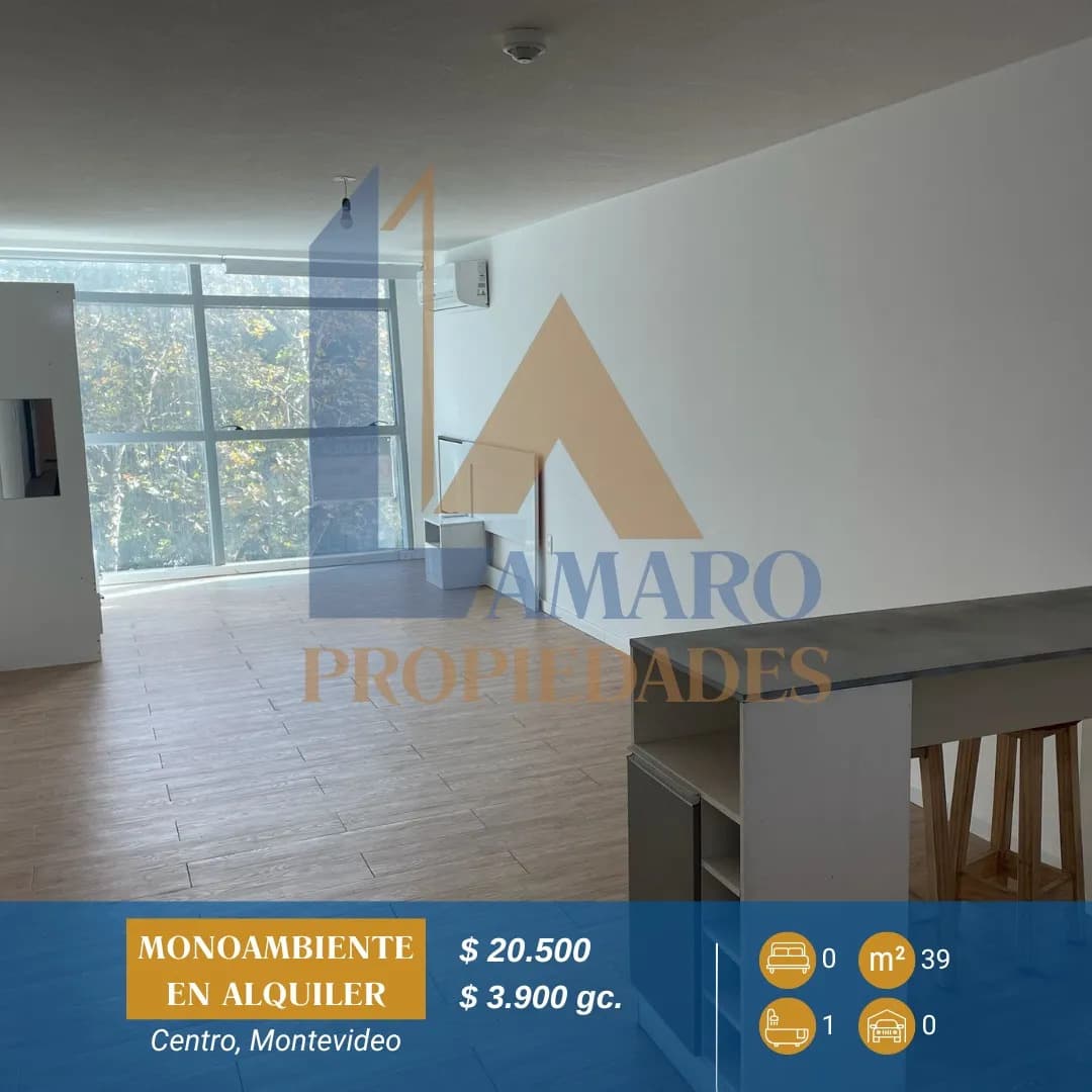 Apartamento En Alquiler, Amplio Monoambiente En Centro De Montevideo