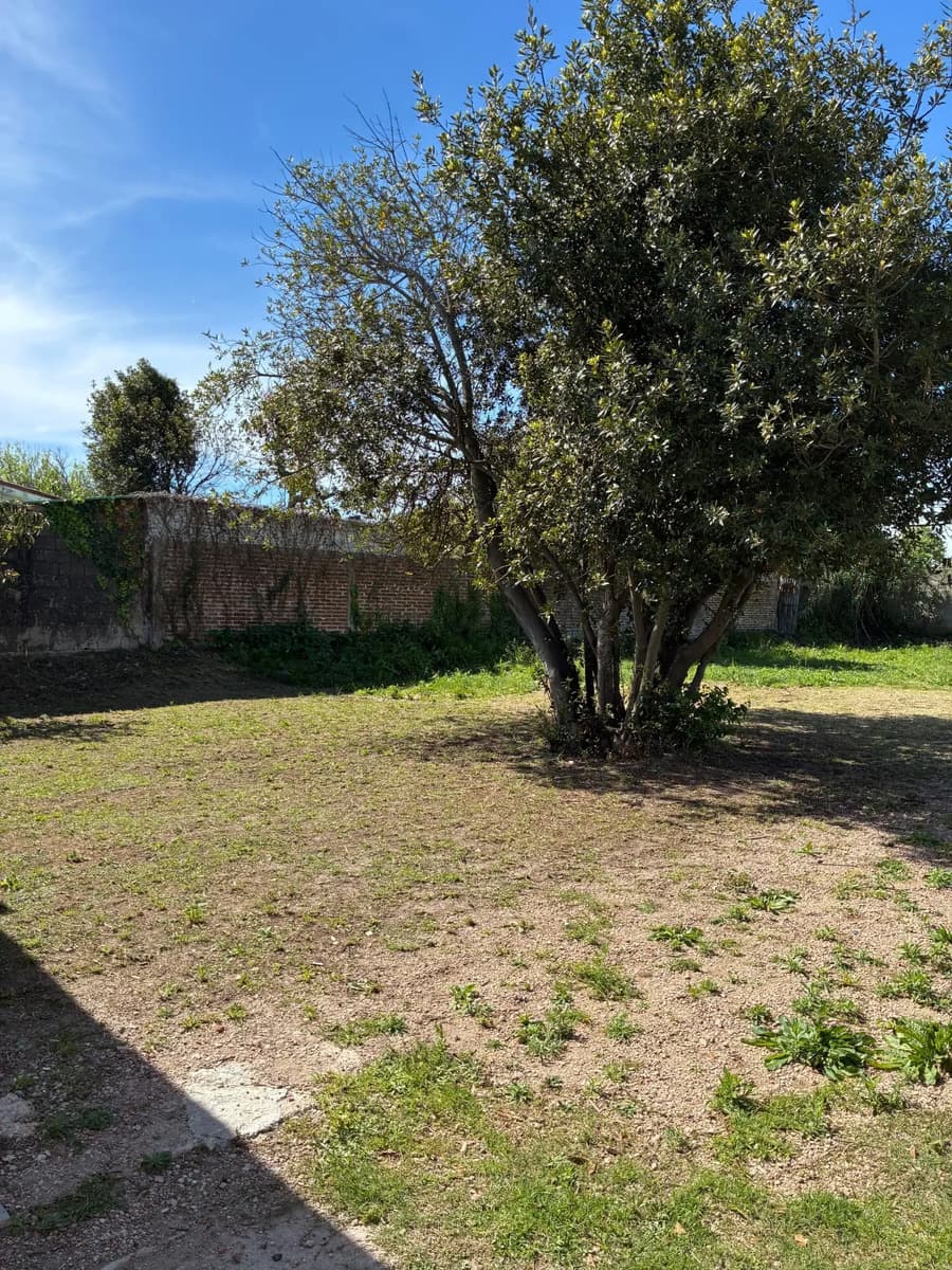 Venta Casa 2 Dormitorios Y Cochera En Malvin Con Renta. Ideal Inversion