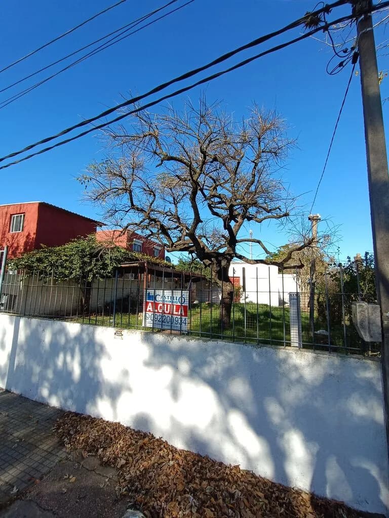 Alquiler 4 Dorm + Jardin+cocheras+parrillero