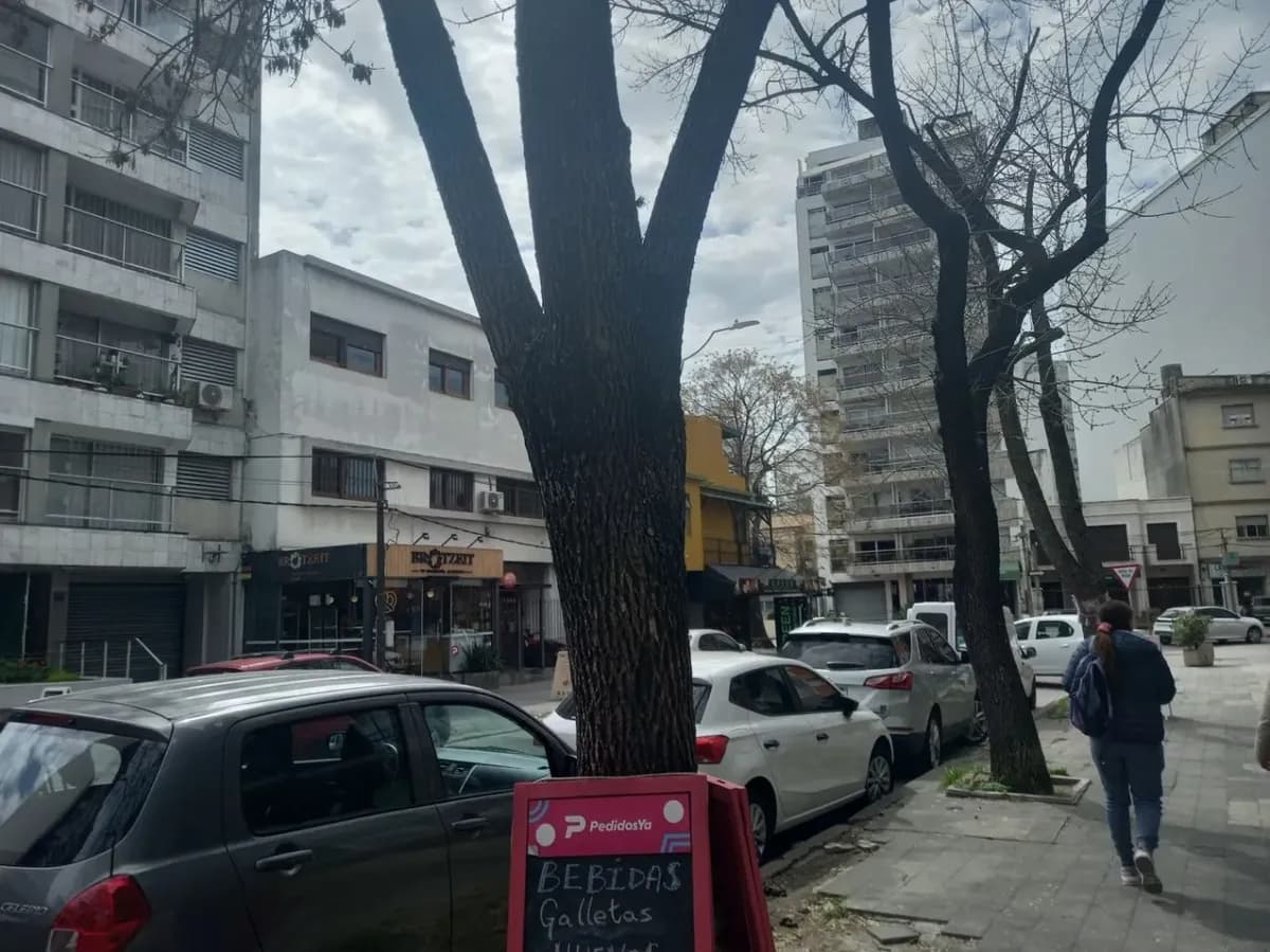 Venta Local Con Renta — foto 1