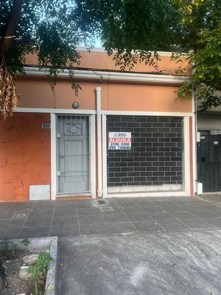 Alquiler Estivao Y Miguel Martinez — foto 2