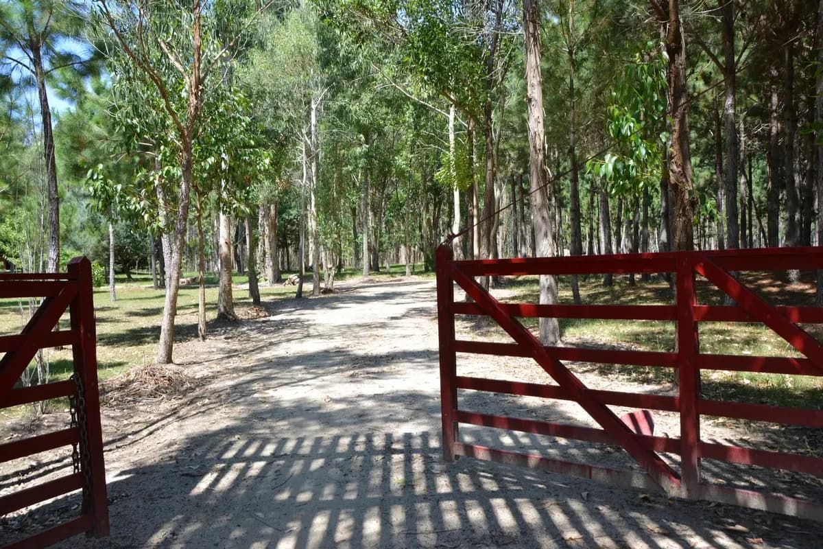 Venta Chacra Marítima Rocha 22ha Ruta 10, Cerca Del Mar, Acepta Banco — foto 3