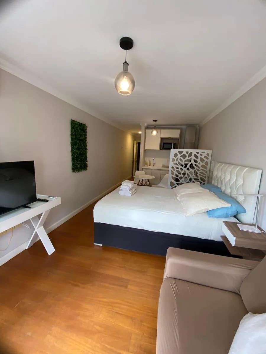 Alquiler Apartamento Monoambiente Amoblado Con Vista Al Mar En Punta Carretas — foto 3