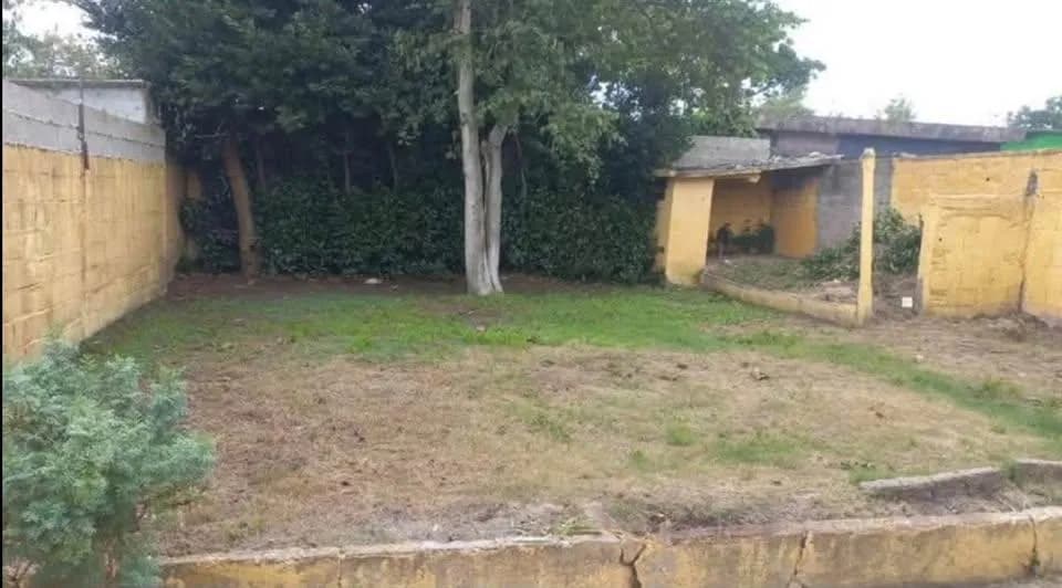 Alquiler Casa 2 Dormitorios Con Garaje Y Patio En Colón — foto 3