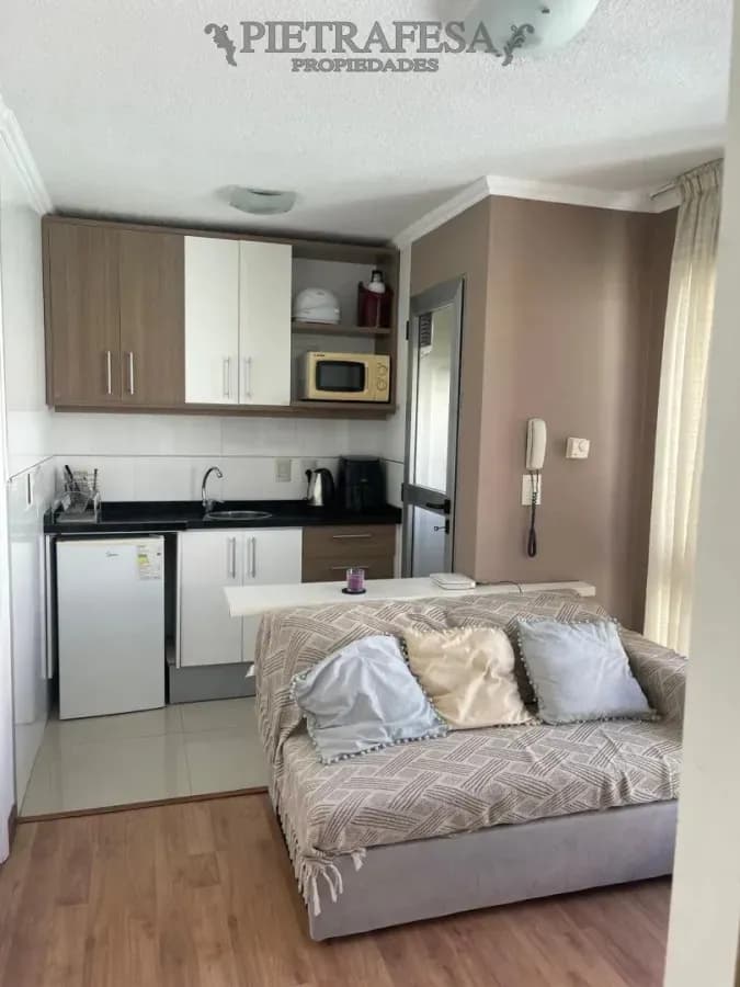 Apartamento En Alquiler, 1 Dormitorio, 1 Baño. Amueblado. Punta Carretas.
