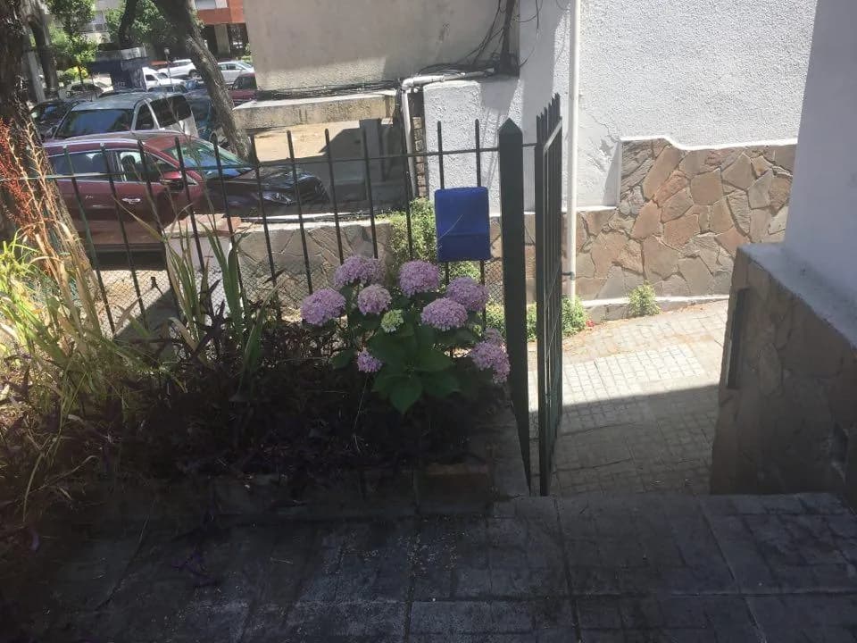 Alquiler Casa 3 Dormitorios Con Patio Y Garaje En Pocitos — foto 4