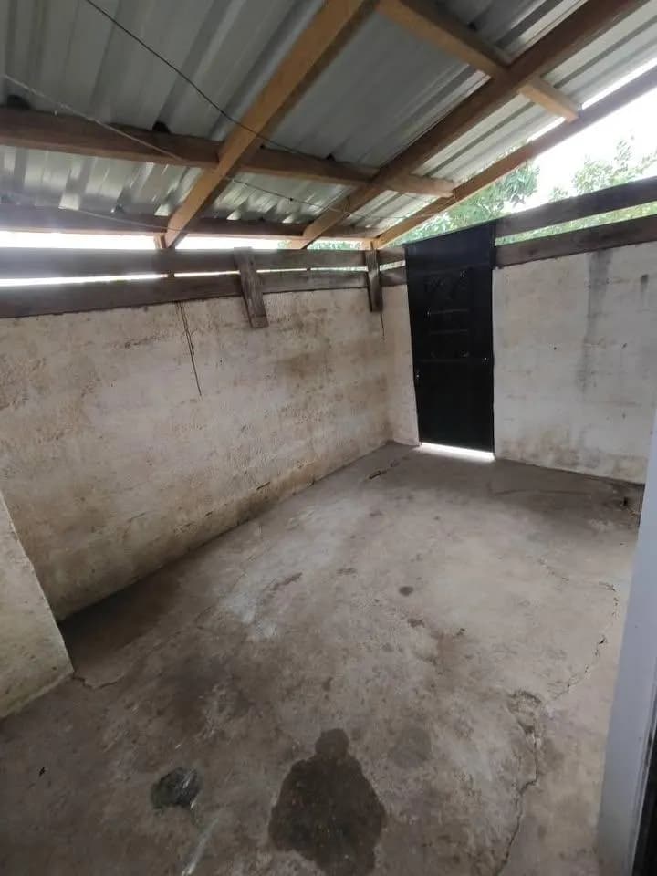 Alquiler Casa 1 Dormitorio Y Patio En Paso Carrasco — foto 4